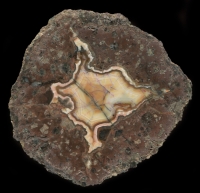Kopfchen Thunderegg