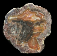 pfchen Thunderegg
