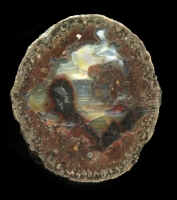 Kopfchen Thunderegg