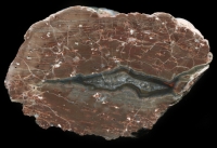 Zaranjin Thundereggs 