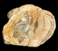 The Lava Road - Sadgill #1 Thundereggs