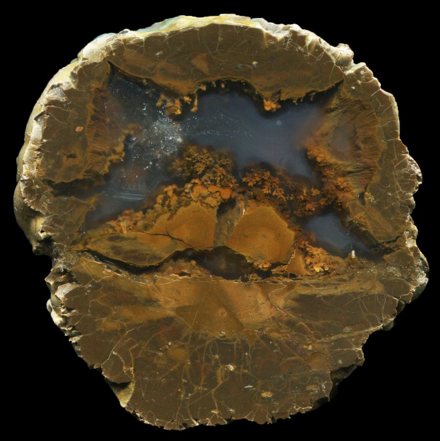 Wild Iris Thunderegg with Plume