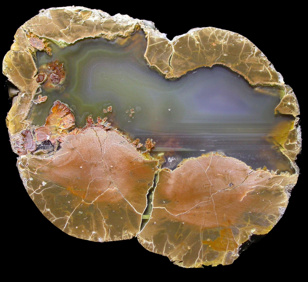 Wild Iris Thunderegg with Gorgeous Colours and Plume
