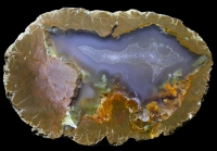 Wild Iris Thunderegg