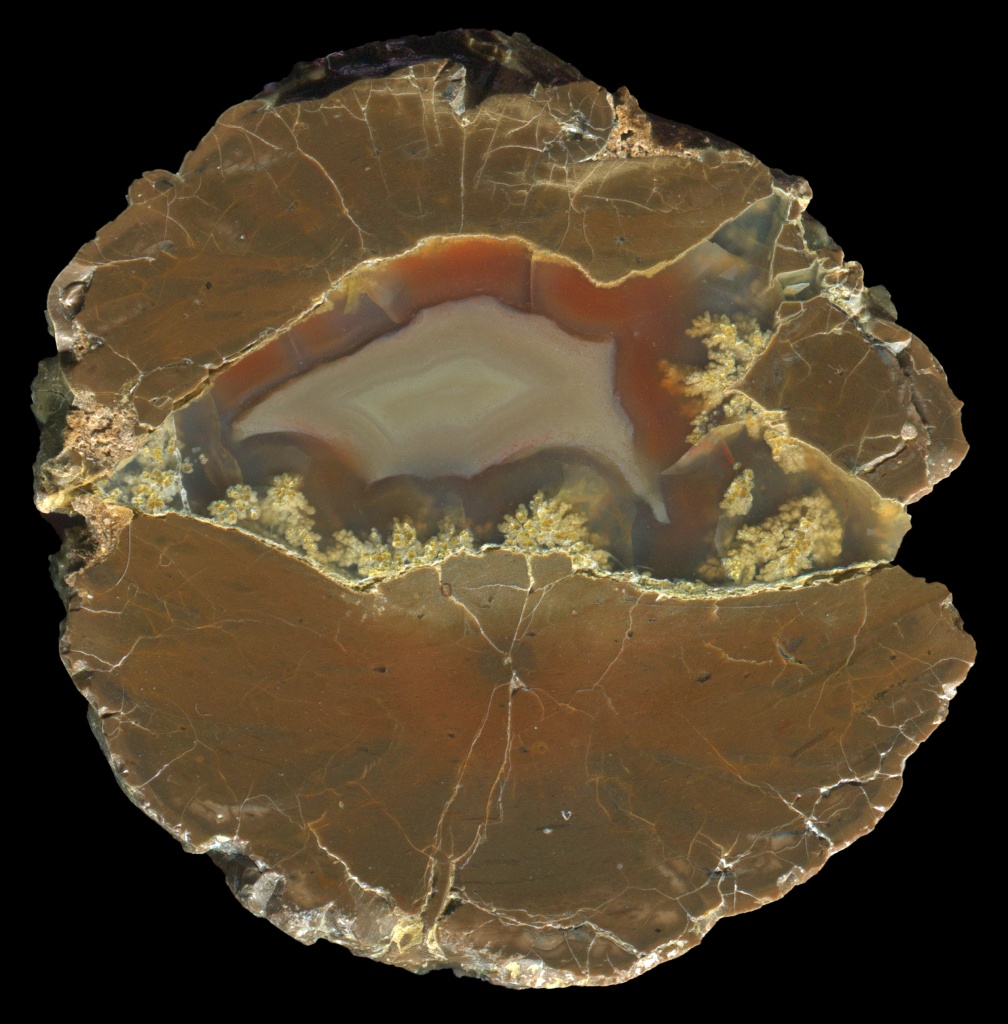Wild Iris Thunderegg with Red Staining