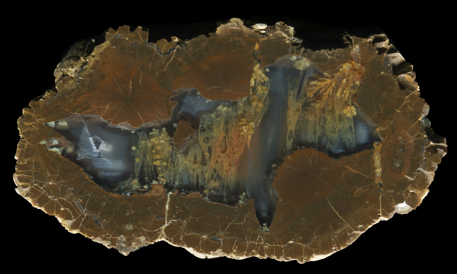 Complex 'Flower Garden' Plume Thunderegg from Wild Iris - Half 1