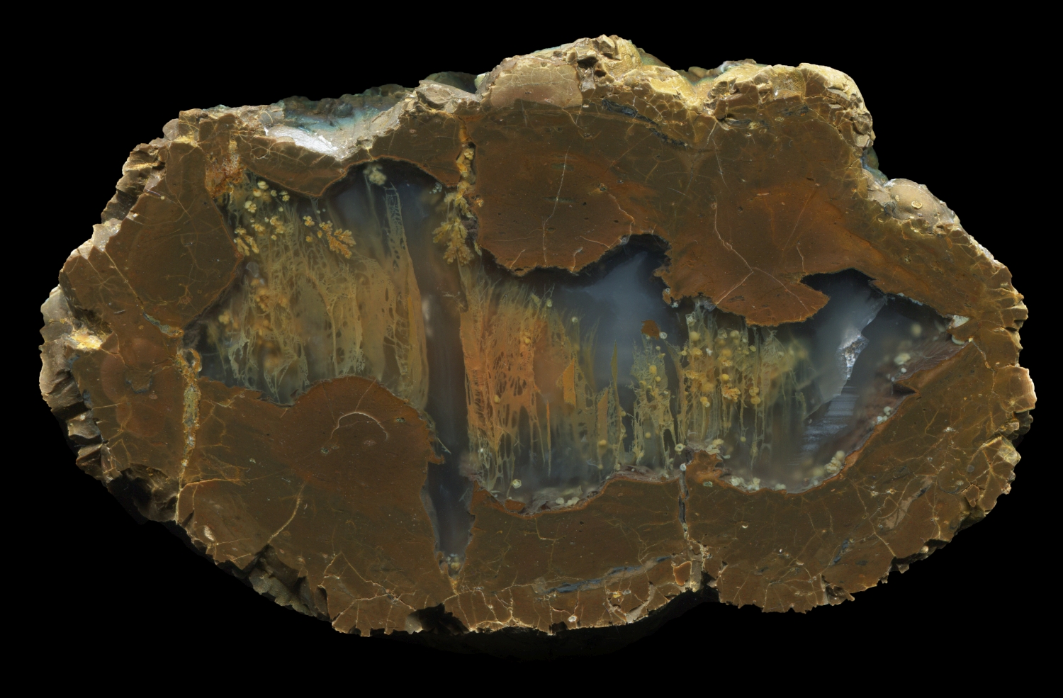Complex 'Flower Garden' Plume Thunderegg from Wild Iris - Half 2