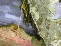 detail