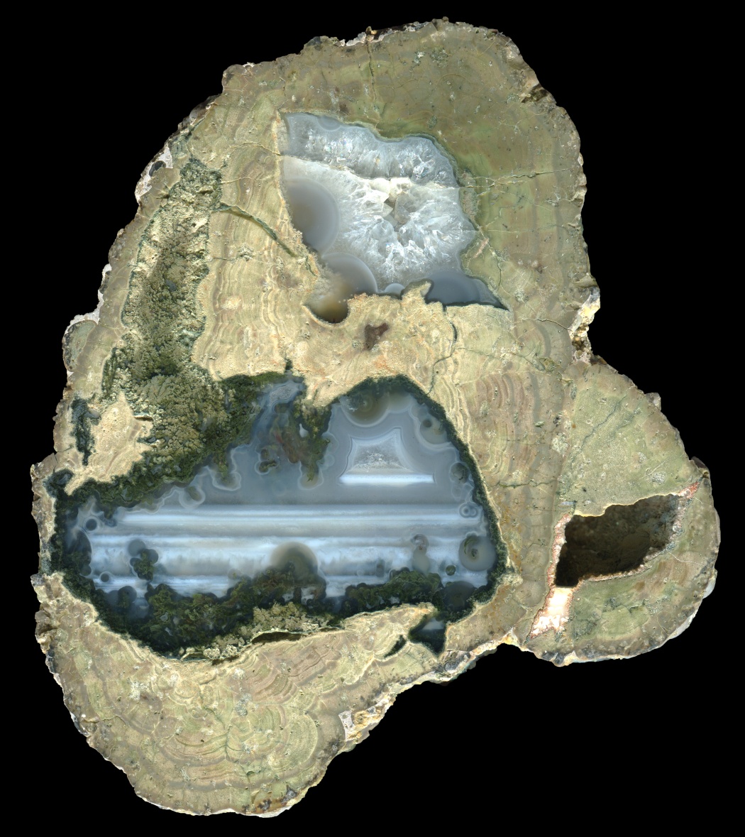 Triple Fallen Tree Thunderegg with Green Moss and Waterlines